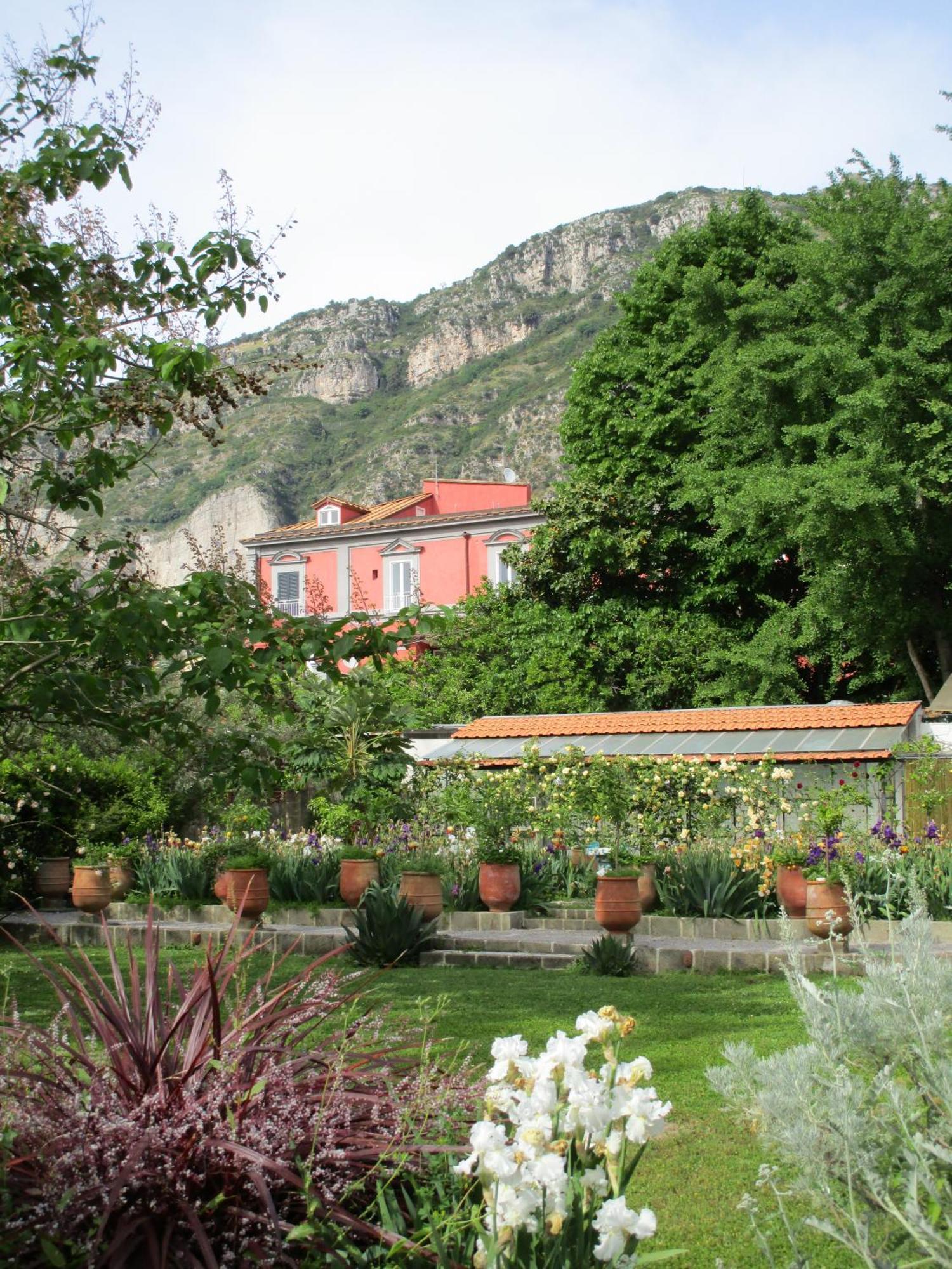 La Gallina Felice B&B Meta Exterior foto