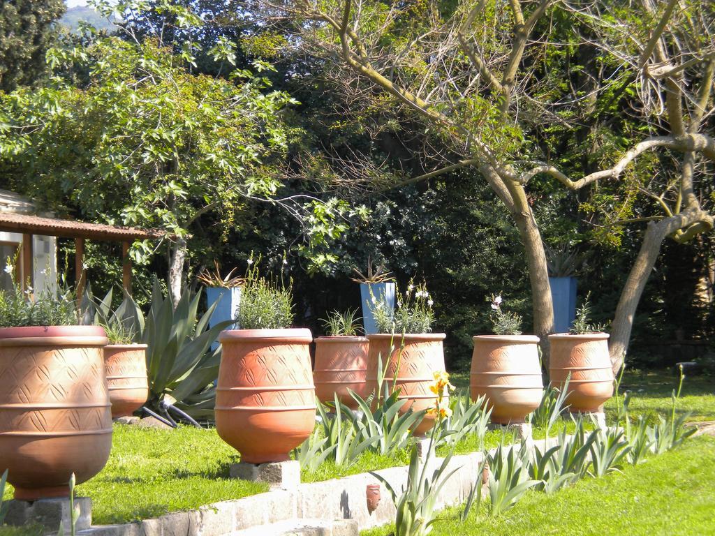 La Gallina Felice B&B Meta Exterior foto